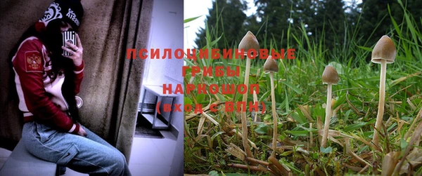 ПСИЛОЦИБИНОВЫЕ ГРИБЫ Мурманск