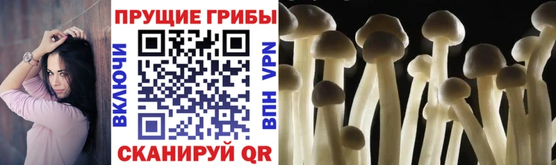 Галлюциногенные грибы Magic Shrooms  гидра маркетплейс  Верхняя Тура 